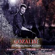 Mohamadreza Asghari – Gozalim