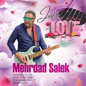 Mehrdad Salek – Just To Love