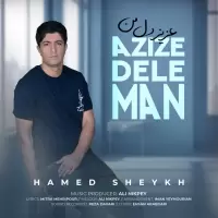 Hamed Sheykh