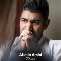 Afshin Amini