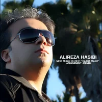 Alireza Hasibi
