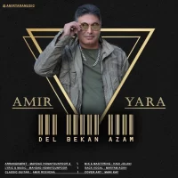 Amir Yara