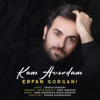 Erfan Gorgani