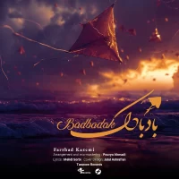 Farshad Kazemi