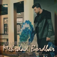 Mehrdad Bordbar