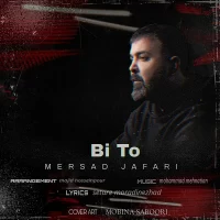 Mersad Jafari