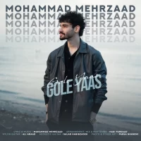 Mohammad Mehrzaad