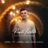 Mohammadreza Nohesara