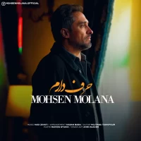 Mohsen Molana