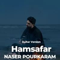 Naser Pourkaram