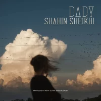 Shahin Sheykhi