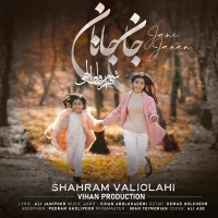 Shahram Valiolahi