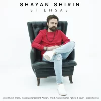Shayan Shirin