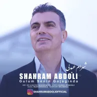 Shahram Abdoli – Gulum Senin Gojaginda
