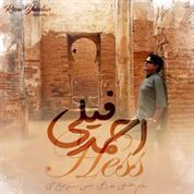 Ahmad Feily – Hess