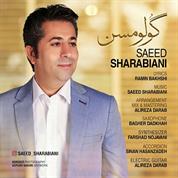 Saeed Sharabiani – Gulumsan