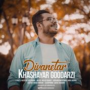 Khashayar Goodarzi – Divanetar