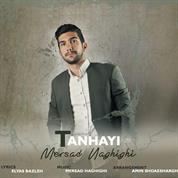 Mersad Haghighi – Tanhayi