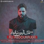 Ali Abdolmaleki – Setareye Donbaleh Dar