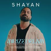 Shayan Mirzaei – Mirize Delam