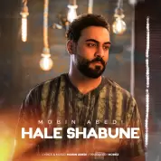 Mobin Abedi – Hale Shabune