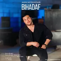 Amin Moghadari