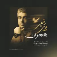 Mehdi Rafiei