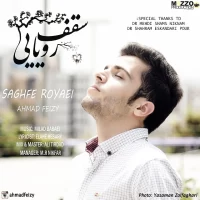 Ahmad Feizy