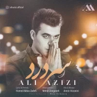 Ali Azizi