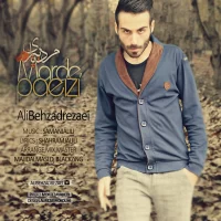 Ali Behzadrezaei
