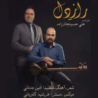 Ali HoseinJanzadeh