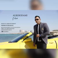 Ali Khodami