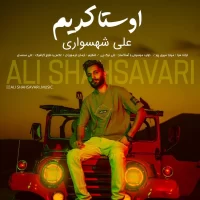Ali Shahsavari