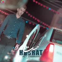 Ali Shamani