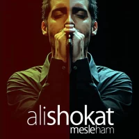 Ali Shokat