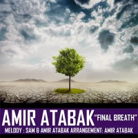 Amir Atabak