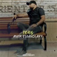 Amir Esfandiary