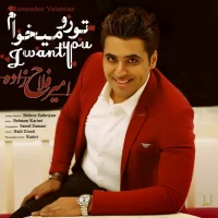 Amir Fallahzade