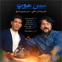 Amir Hossein Seddigh