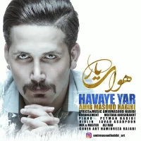 Amir Masoud Habibi
