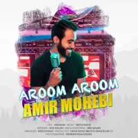 Amir Mohebi