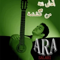 Ara Salahi