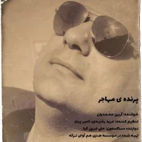 Arian Mohamadian