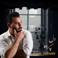 Ariya Tehrani