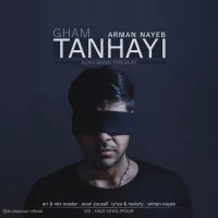 Arman Nayeb