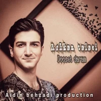 Ashkan Talaei