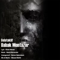 Babak Montazer
