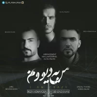 Dj Ali Aslani