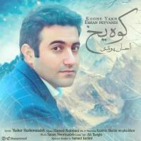 Ehsan Peyvandi