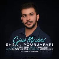 Ehsan Pourjafari